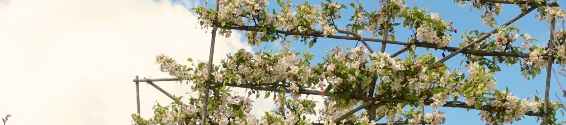 Shop Nursery